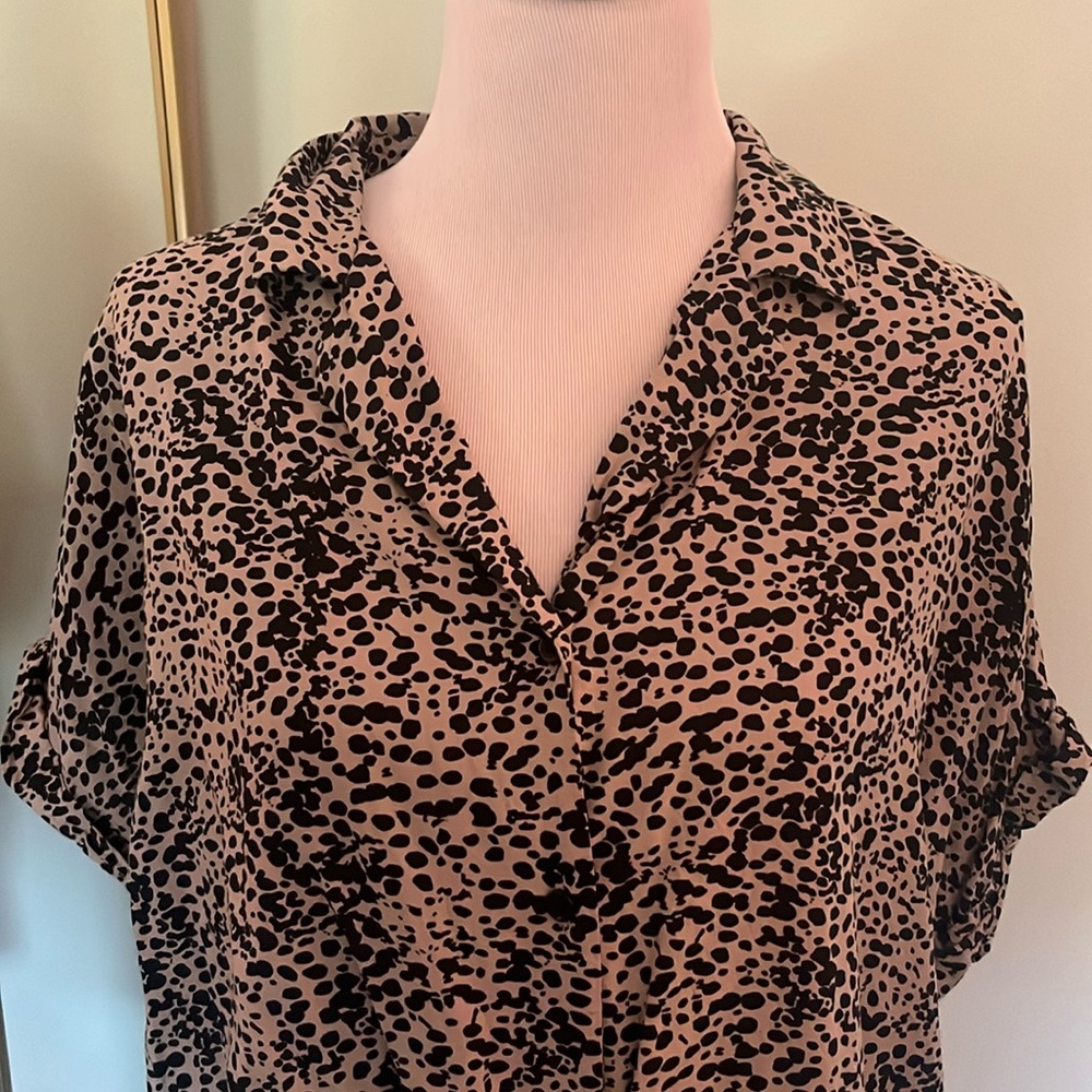Stylish Black and Cream Women's Top